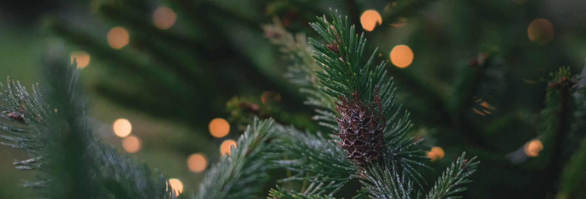 Happy Holidays from your local flooring store in Kelowna