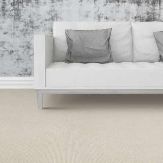 Light wool Carpet flooring in a bright living room