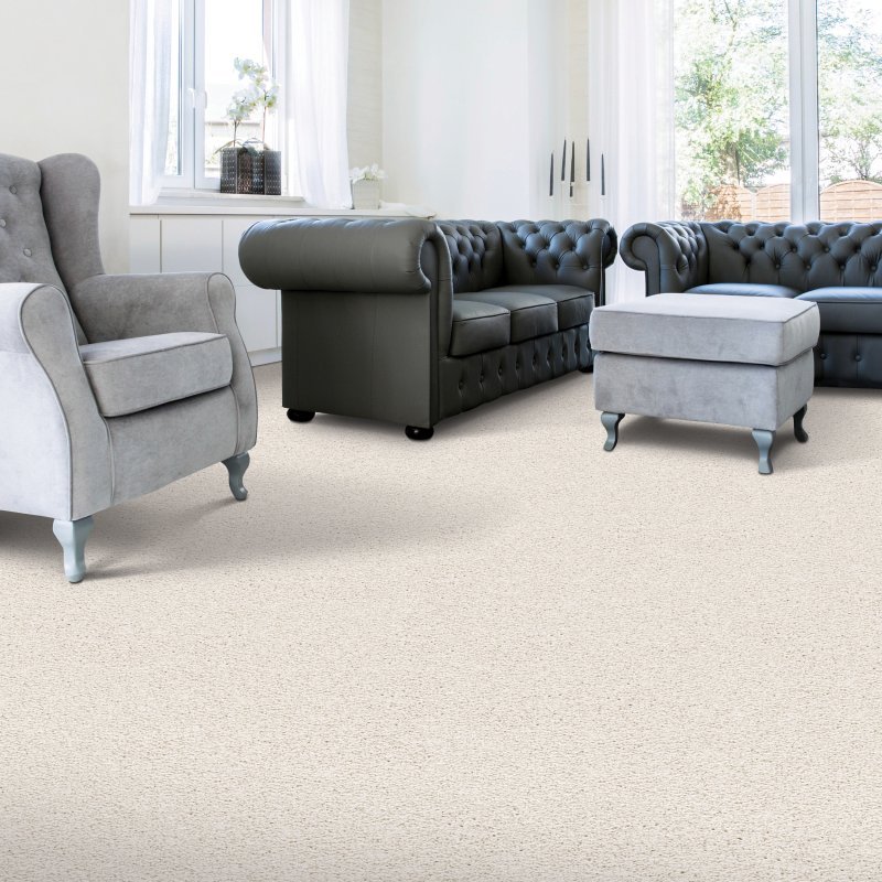 Express Flooring is providing stain-resistant pet proof carpet in Kelowna, BC - Exquisite Attraction